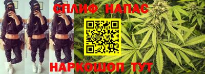 прущий лед Кингисепп
