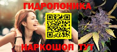 PSILOCYBIN Кинель