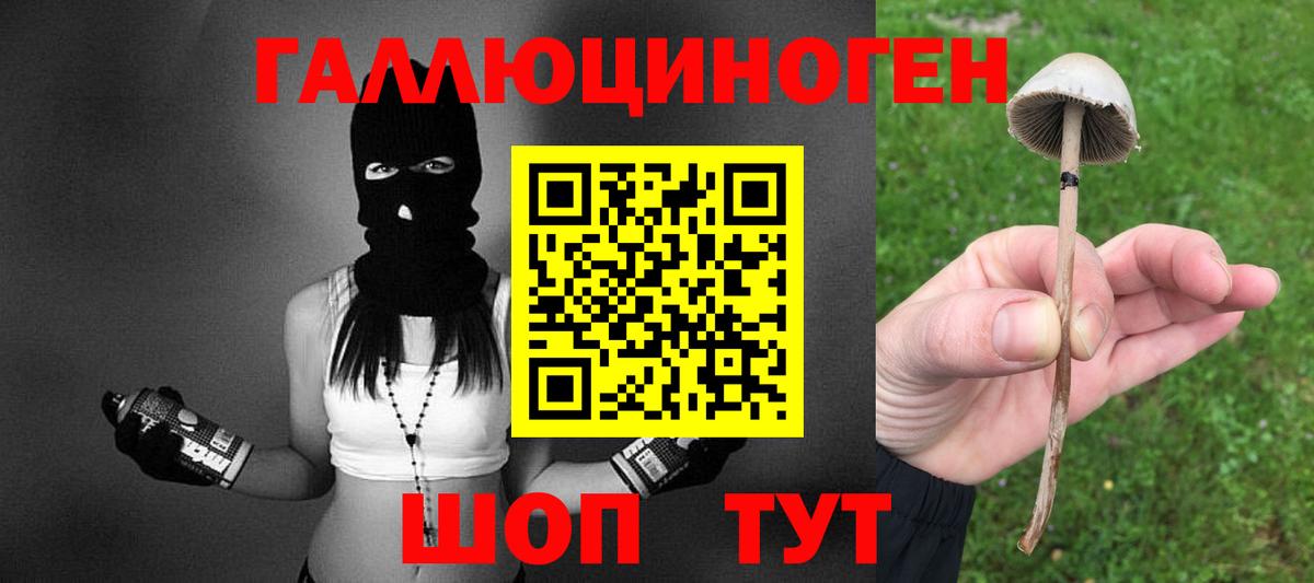 Конаково  Псилоцибиновые грибы мухоморы  Вход с VPN  Галлюциногенные грибы мухоморы 