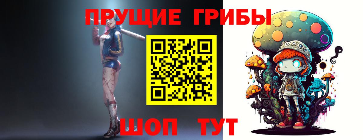 Псилоцибиновые грибы Psilocybine cubensis Конаково